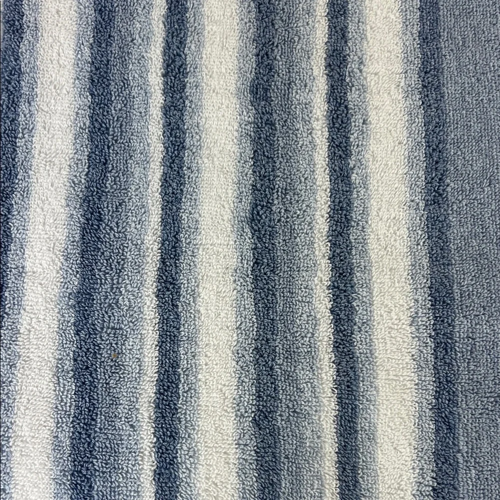 DKNY Bath Towels Eco Hue Blue and White Striped Plush Cotton Set of 2 NEW